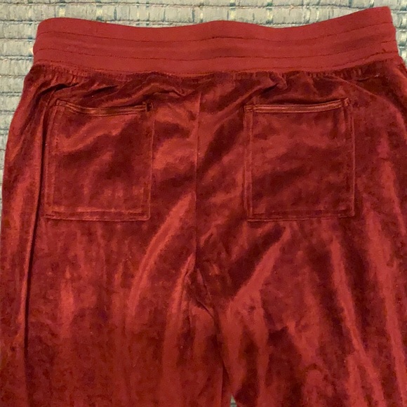 BCBGMaxAzria Retro Velour Pants with Bling - Picture 5 of 10